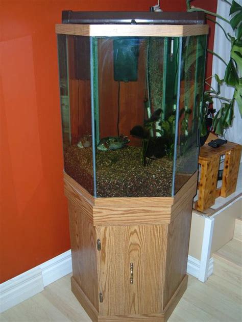 30 gal with lid and light. . Octagon fish tank